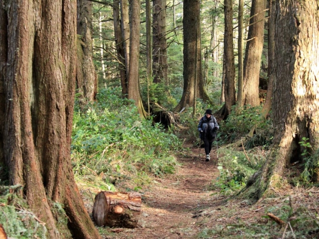 Dion Nuuchahnulth Trail