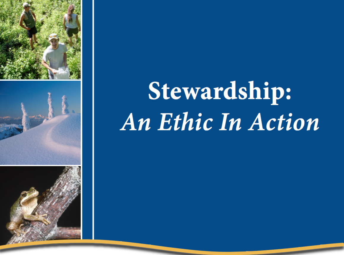 Stewardship: An Ethic in Action