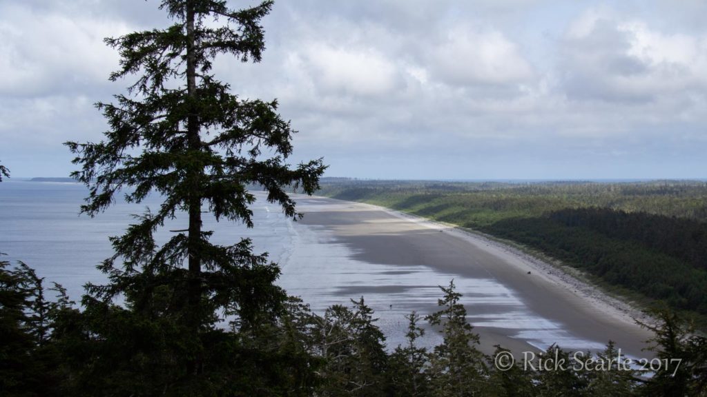 North Beach from Tow Hill Viewpoint