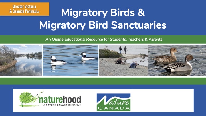 Migratory Birds and Migratory Bird Sanctuaries Booklet Cover